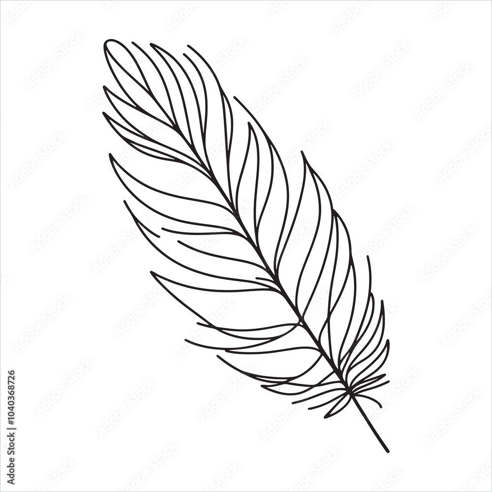 Obraz premium Feather silhouette on white background