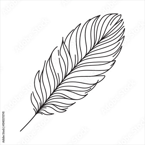 Feather silhouette on white background
