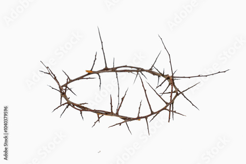 Thorns crown of Jesus Christ. Isolated on white background. photo