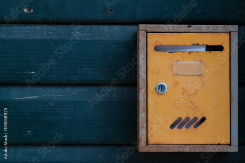 Old wooden door details