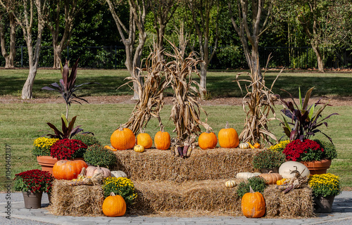 Festive Fall Setting Using  Pumpkins