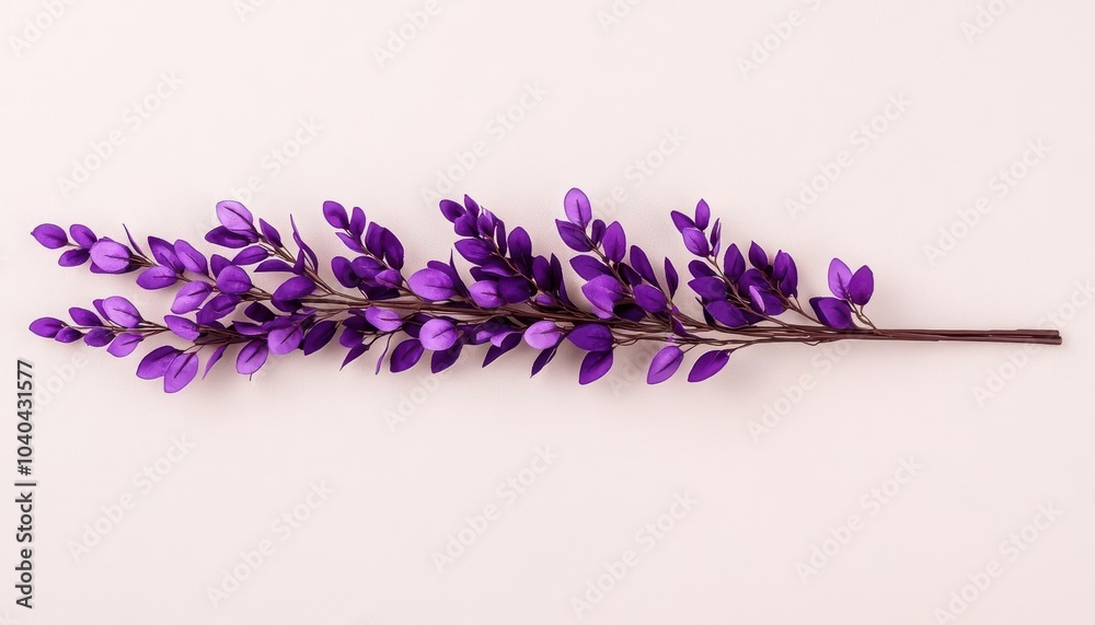 Obraz premium Purple flower branch on a light background, elegant and simple composition.