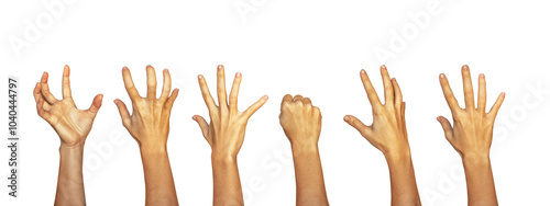 Obraz na plátně Raised arms with palms, forearms and fingers in different positions isolated on