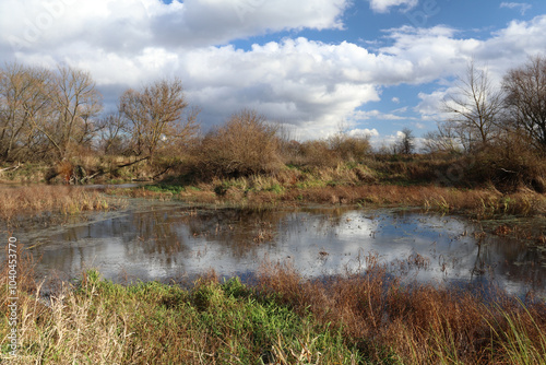 The Bug River in autumn, near Kryłów.