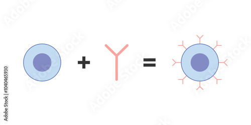 CAR T-cell Therapy Scientific Design. Vector Illustration.