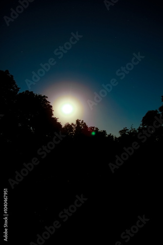 beautiful nature silhouette sky in the park