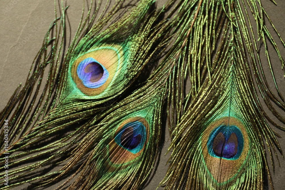 Fototapeta premium Many beautiful peacock feathers on light brown background, top view