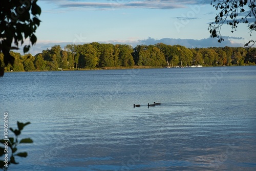 Ausblick über den Scharmützelsee bei Bad Saarow photo