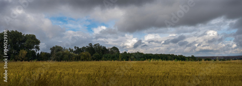 autumn field of ripe soybeans against the background of a dark sky with cloud...