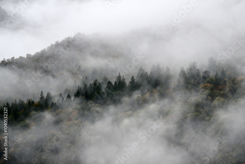 Foggy autumn mountains