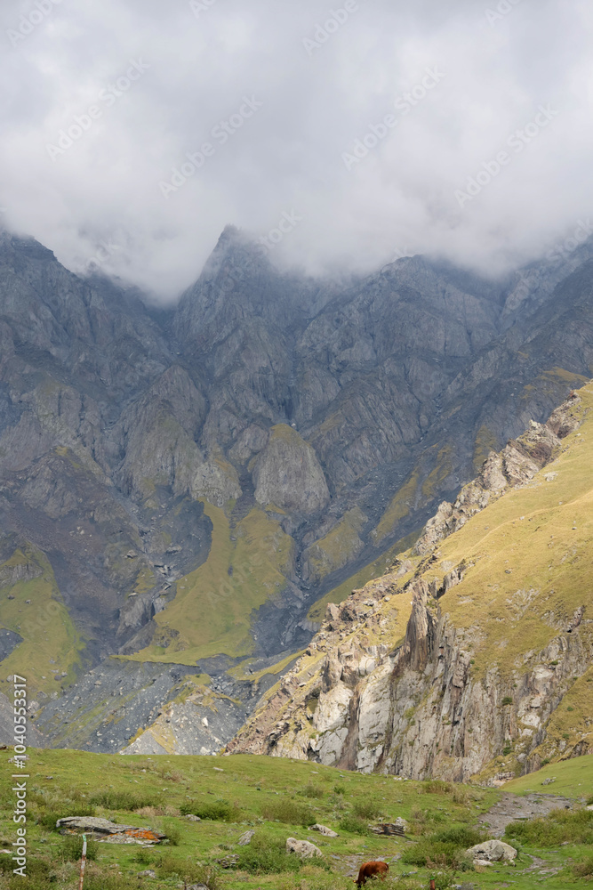 Fototapeta premium Mountain landscape. summer day in wild mountains with coniferous forest and rocky slopes. Venue: Georgian Kazbegi Mountains. atmosphere of sunlight clouds, wallpapers. Discover the beauty of earth