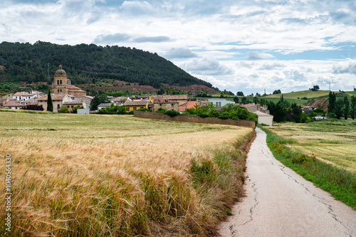 The Road to Mañeru photo