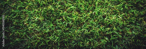 Fresh green grass covering the ground in a peaceful outdoor setting during da...