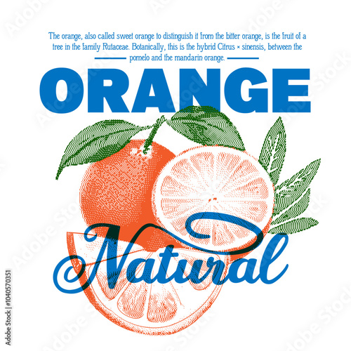 Natural tasty fresh fruit print design. food fashion t shirt artwork orange fruit print design. orange slogan typography text. summer tropical food fashion. retro vintage fashion.