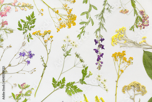 Dried flowers on light background, top view