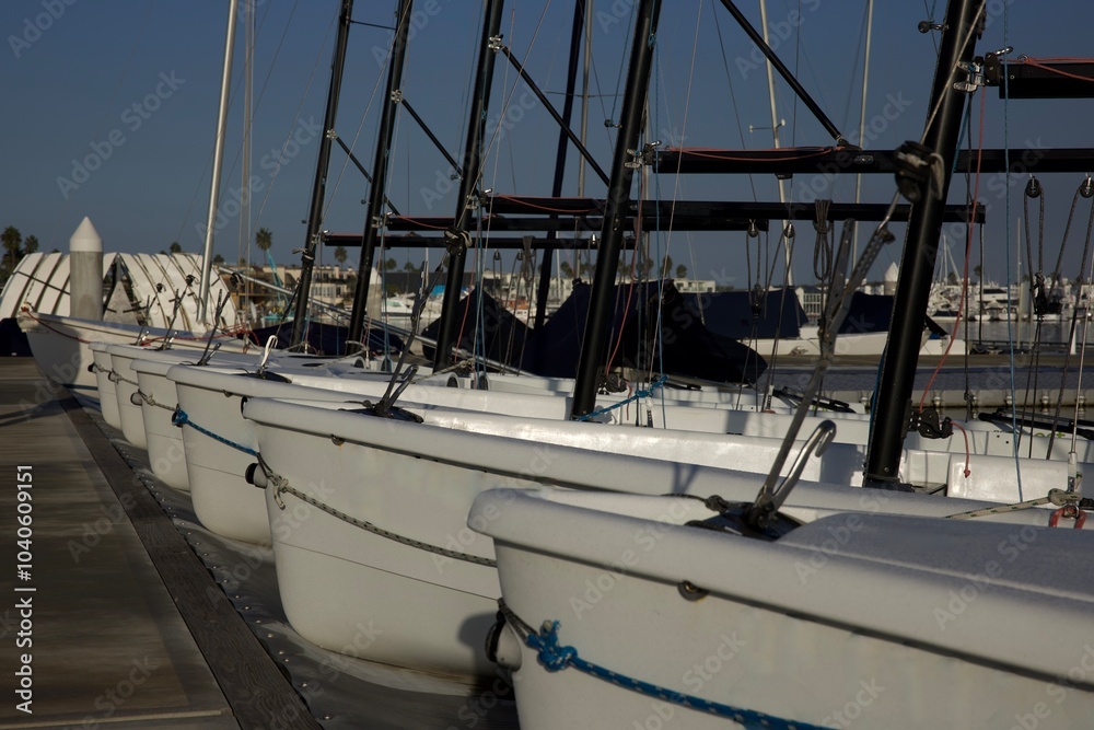 Fototapeta premium sailing boats in the harbor