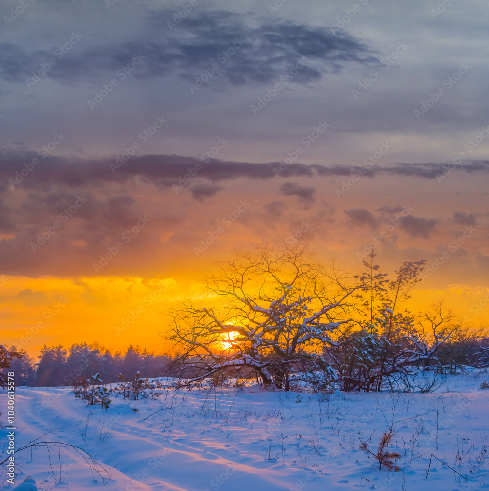 snowbound winter forest at the dramatic sunset snowbound winter forest at the dramatic sunset