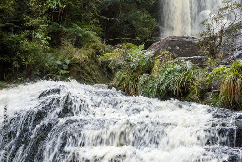 McLeans waterfall in the Catlins Conservation Park, New Zealand. photo