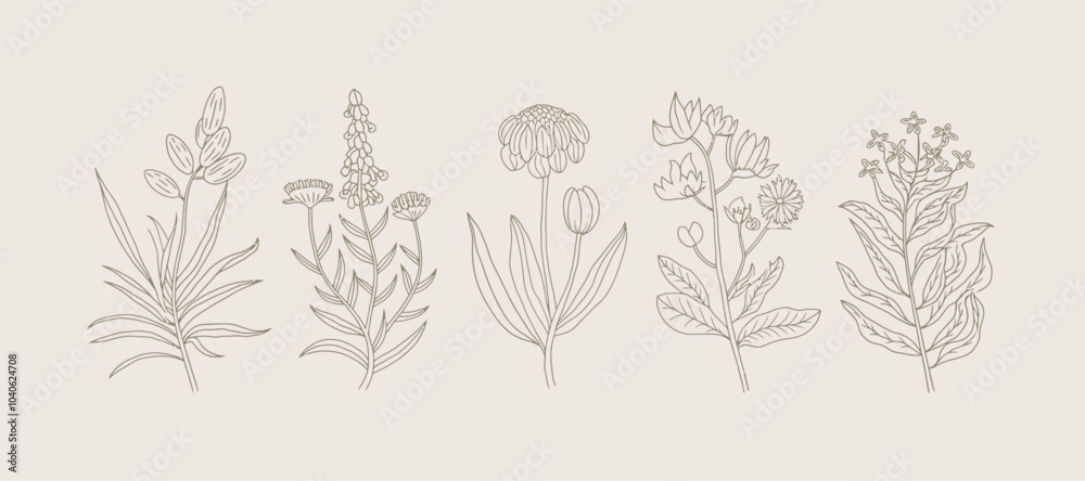 Fototapeta premium Delicate Botanical Collection: An Unique Floral Illustrations Set