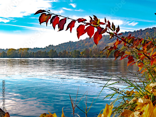 Einzigartige Herbststimmung in der Natur im Donaupark bei Sonnenschein