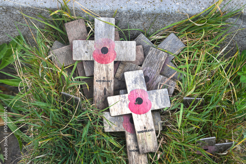 wooden remembrance day crosses with poppy
