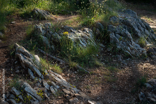 nature, rocks, stones, montains, green, summer