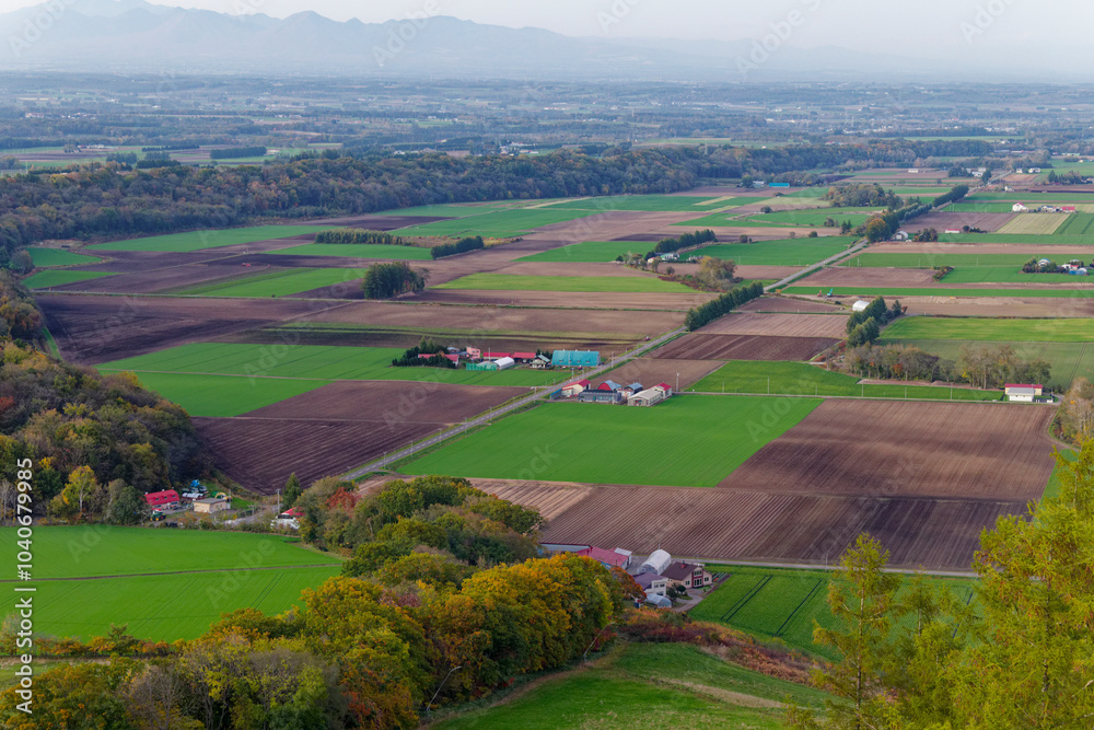 Fototapeta premium 新嵐山展望台から見た風景