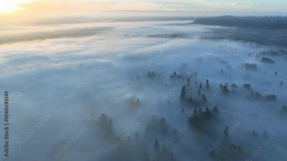 Early morning fog drifts through the Willamette Valley in West Linn, Oregon. This scenic area lies just south of the Pacific Northwest city of Portland.