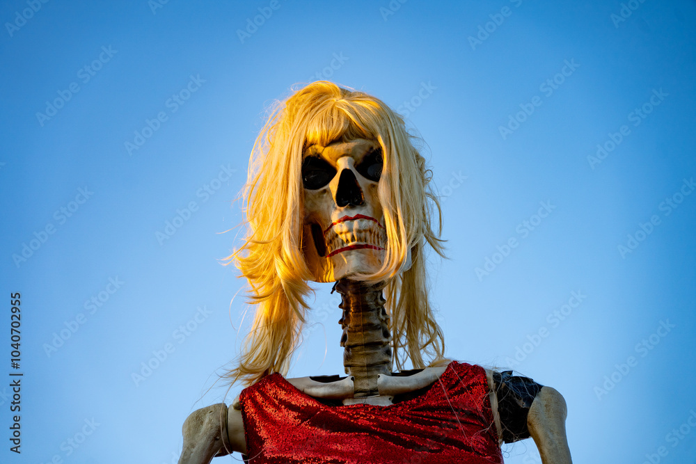 A human skeleton decor for Halloween. A human skeleton decor for Halloween.