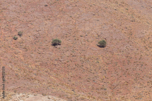 Texture of foothills thinly covered with bushes, shrubs and herbs indicating low precipitation near Abarkuh, Yazd, Iran.  photo