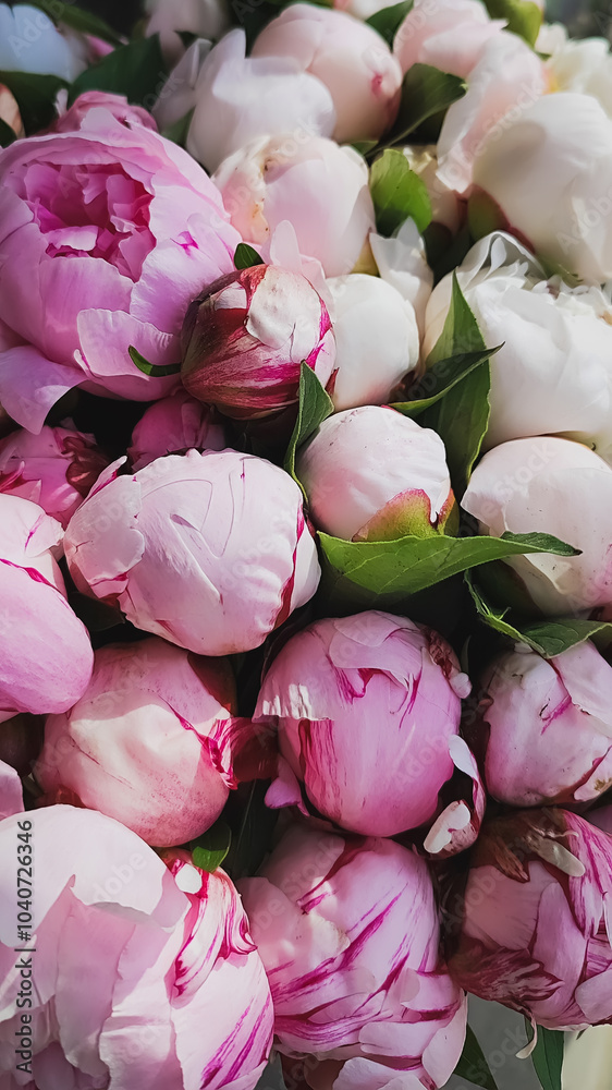 Obraz premium A colorful bunch featuring pink and white flowers along with green leaves