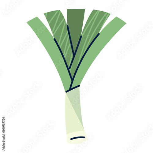 Vector image of a LONG ONION icon with a white background