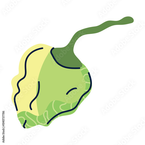 Flat vector illustration of a green habanero pepper with stylized details, representing a spicy chili vegetable used in tropical and Mexican cuisine