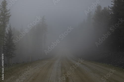 Foggy gloomy country road leading into the distance through a horror coniferous forest. Road surface is a dirty and wet. Whitish fog around, the end of the road is not visible