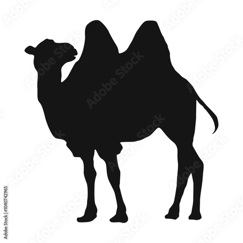 Camel Silhouette