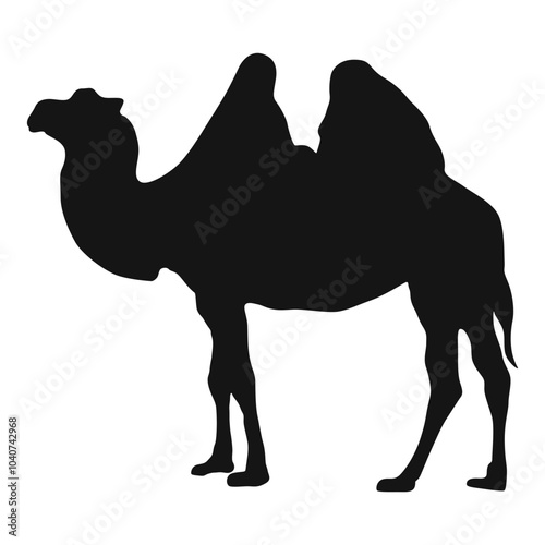 Camel Silhouette