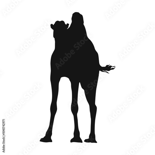 Camel Silhouette