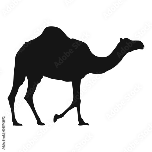 Camel Silhouette