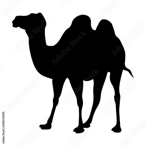 Camel Silhouette