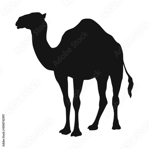 Camel Silhouette