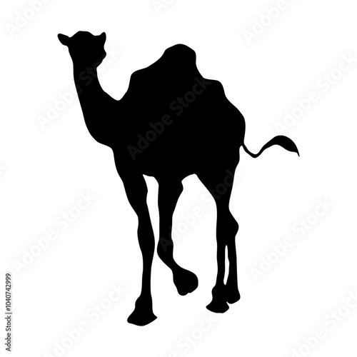 Camel Silhouette