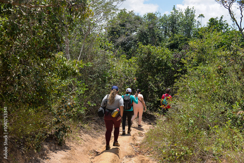 hiking in the woods, hiking in the forest, walking in the forest, walking in the park, people walking on a path, hikers, trails in Brazil, brazilian forest, backpackers, sunny day, brazil, ecotourism