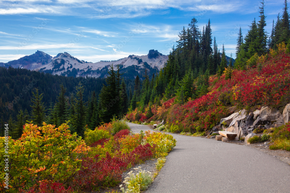 A paved path is surrounded by lush, vibrant fall foliage with the Tatoosh mountain range in the background at Mt. Rainier National Park in Washington state
A paved path is surrounded by lush, vibrant fall foliage with the Tatoosh mountain range in the background at Mt. Rainier National Park in Washington state