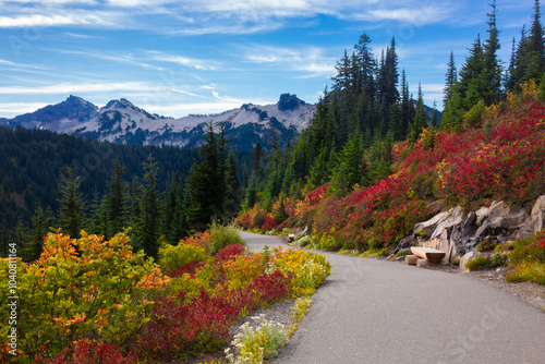Fototapeta Naklejka Na Ścianę i Meble -  A paved path is surrounded by lush, vibrant fall foliage with the Tatoosh mountain range in the background at Mt. Rainier National Park in Washington state
