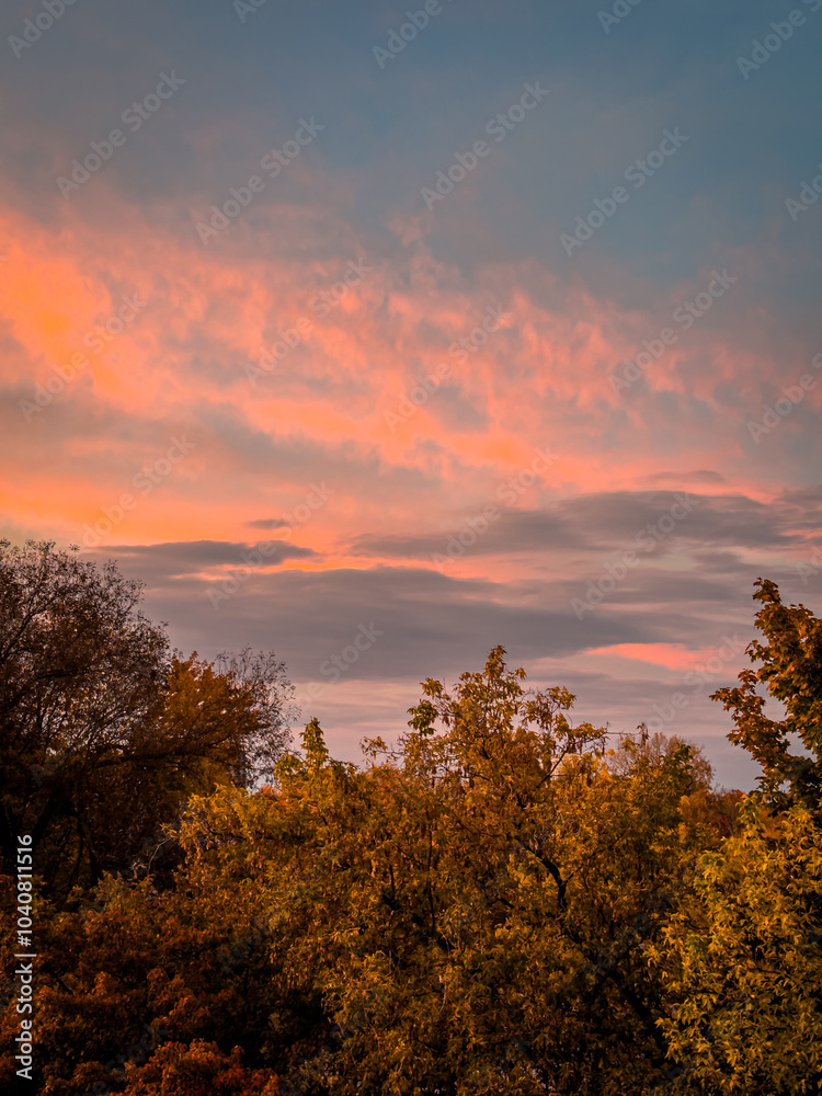 A stunning autumn sunset with vibrant pink and orange hues lighting up the sky, contrasting beautifully with the treetops below, painted in shades of green and gold, Ottawa, Canada (October 2024) A stunning autumn sunset with vibrant pink and orange hues lighting up the sky, contrasting beautifully with the treetops below, painted in shades of green and gold, Ottawa, Canada (October 2024)