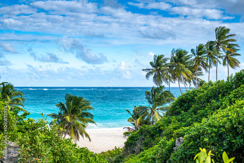 Fototapeta Naklejka Na Ścianę i Meble -  beach with palm trees