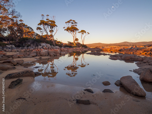 Morning by the Sea Tasmania