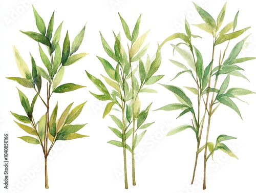 Watercolor illustration of four green bamboo branches with leaves isolated on white background.