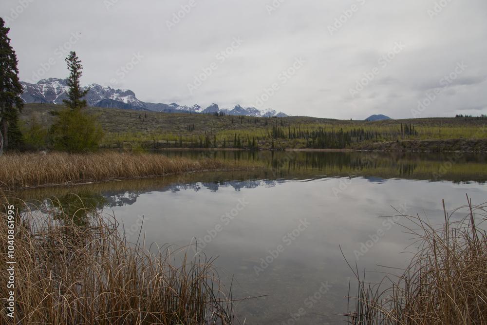 Fototapeta premium Talbot Lake on a Cloudy Spring Day