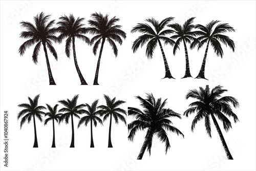 coconut tree silhouette vector illustration